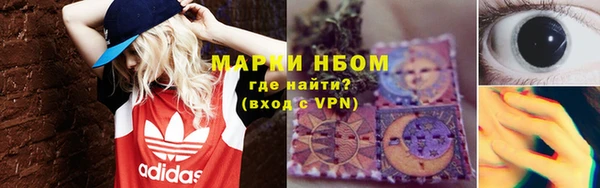 дурь Инта