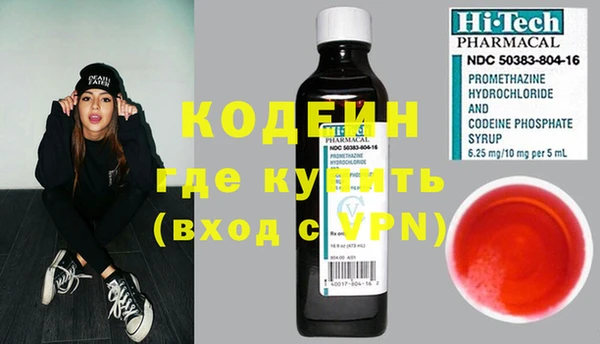 дурь Инта