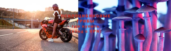 дурь Инта