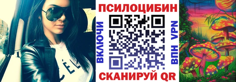 Галлюциногенные грибы Psilocybe  мега ТОР  Циолковский 