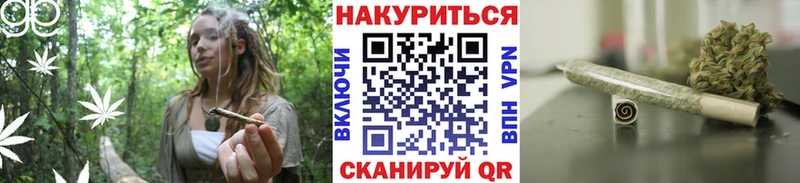 Конопля AK-47 Циолковский